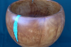 Alligator Juniper with Turquoise  - 9H - by Andy J