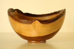 English Walnut - 7W x 5H - by Dan D