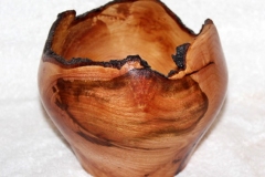 Laurel Root Bowl - 5W x 5H - by Randy P