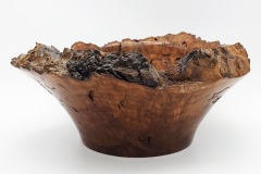 Walnut - 12W x 6H - by Ron C