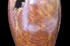 Alligator Juniper Burl - 15H - by Andy J