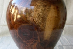 Black Walnut - 18H - by Andy J