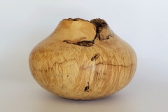 Box Elder - 7W x 6H - by Chuck G
