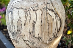 Inspired By Mentor, Spalted Cottonwood - 10W x 13H - Cheryl L