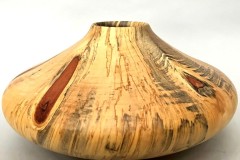 Norfolk Pine - 9W x 6H - by John H