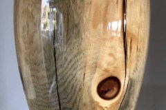 Ponderosa Pine - 30H x 13D - by Dan D