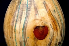 Ponderosa Pine, Kill Beetle Blue Stain withTurquoise  - 20H - by Andy J