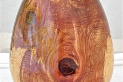 Red Cedar - 18H - by Andy J
