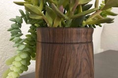 Succulent Vase, English Walnut - 4W x 6H - by Dan D